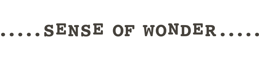 SENCE OF WONDER